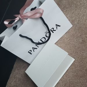 Pandora jewelry cleaning kit